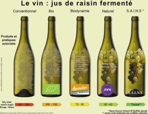classificazione dei vini