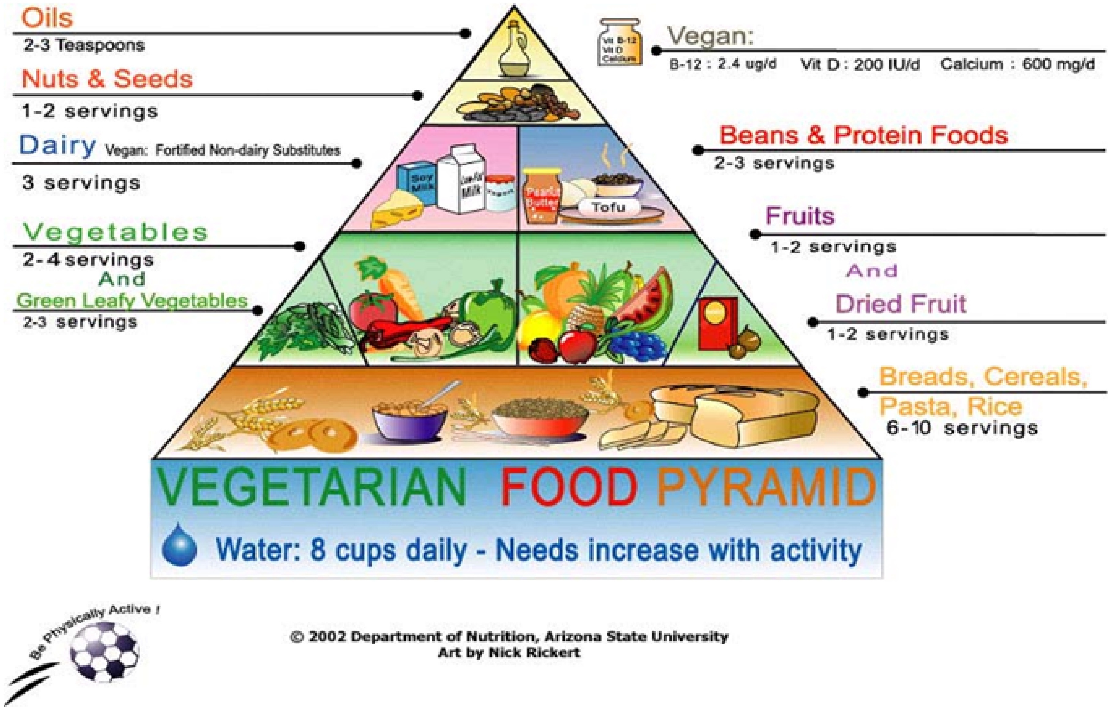 food pyramid