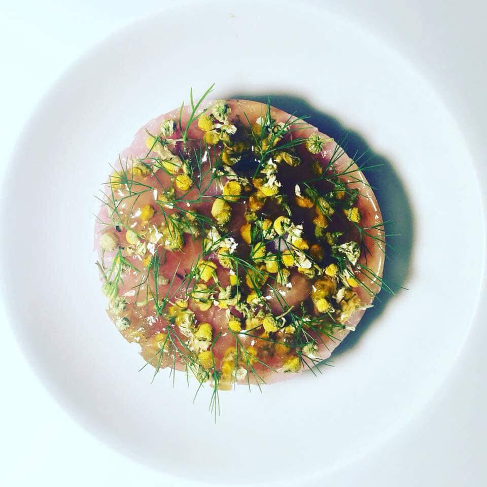 delicatezza_tartare_ricciola