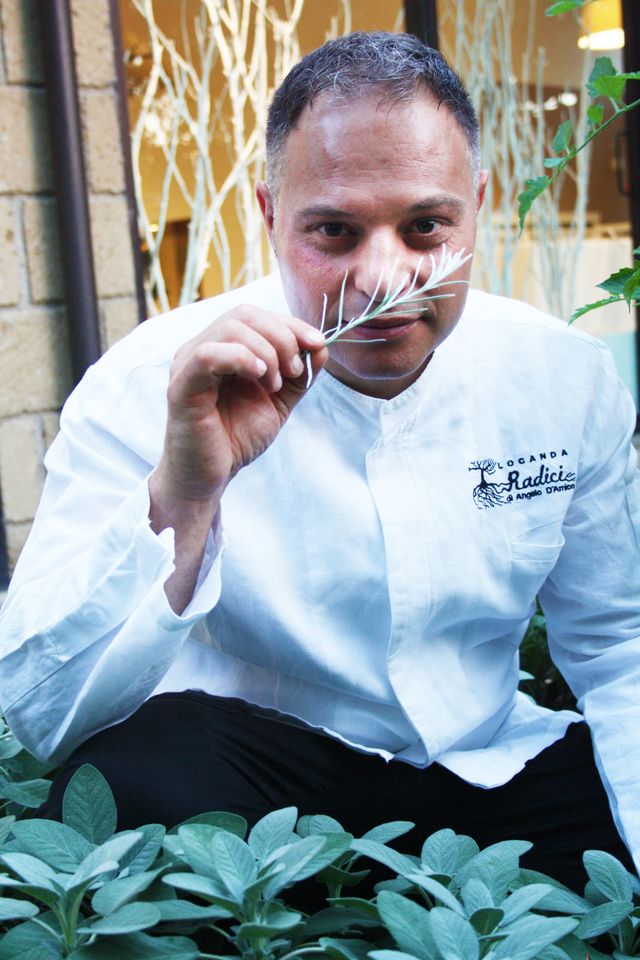 chef Angelo D'Amico