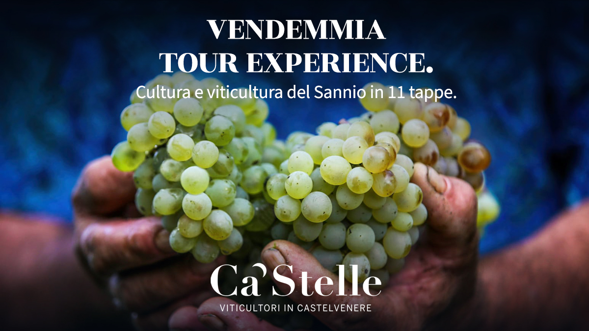 CASTELLE_1200X675_VENDEMMIA_TOUR_EXPERIENCE