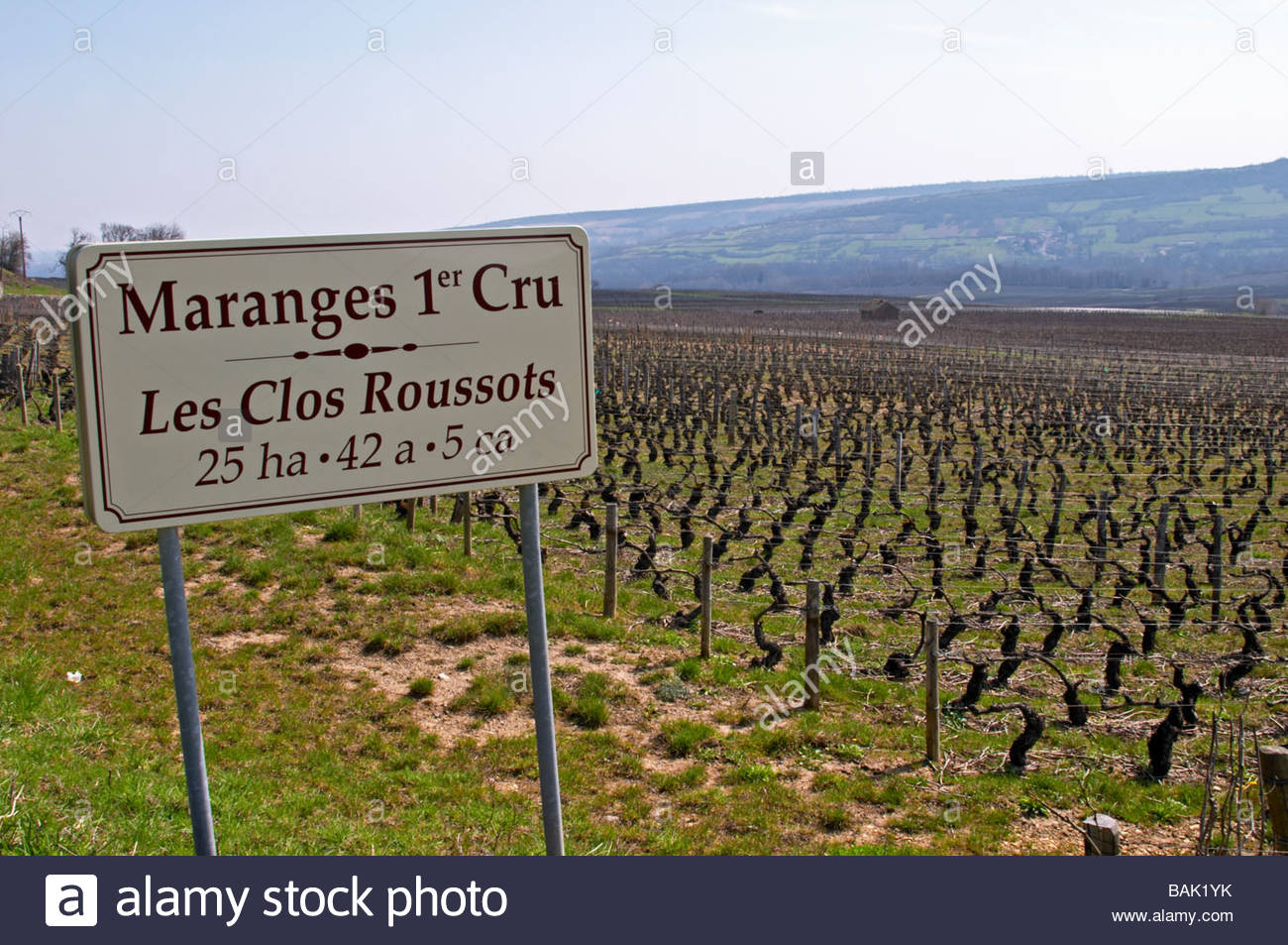 vineyard-les-clos-roussots-dezize-les-maranges-santenay-cote-de-beaune-BAK1YK