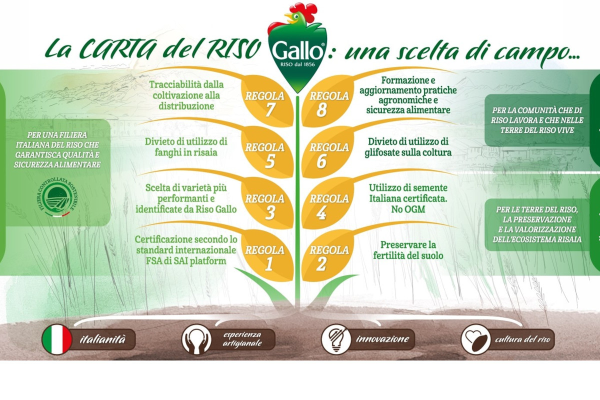 Carta-del-Riso_Riso-Gallo