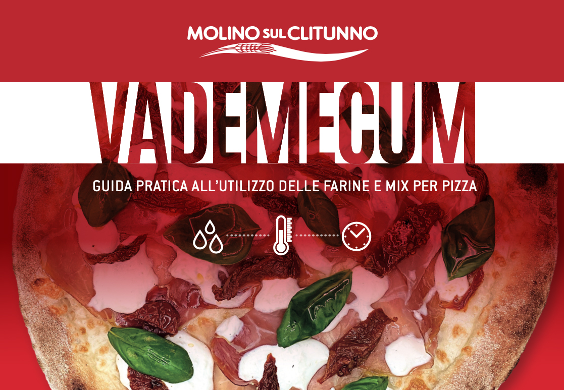 farine per pizza vademecum