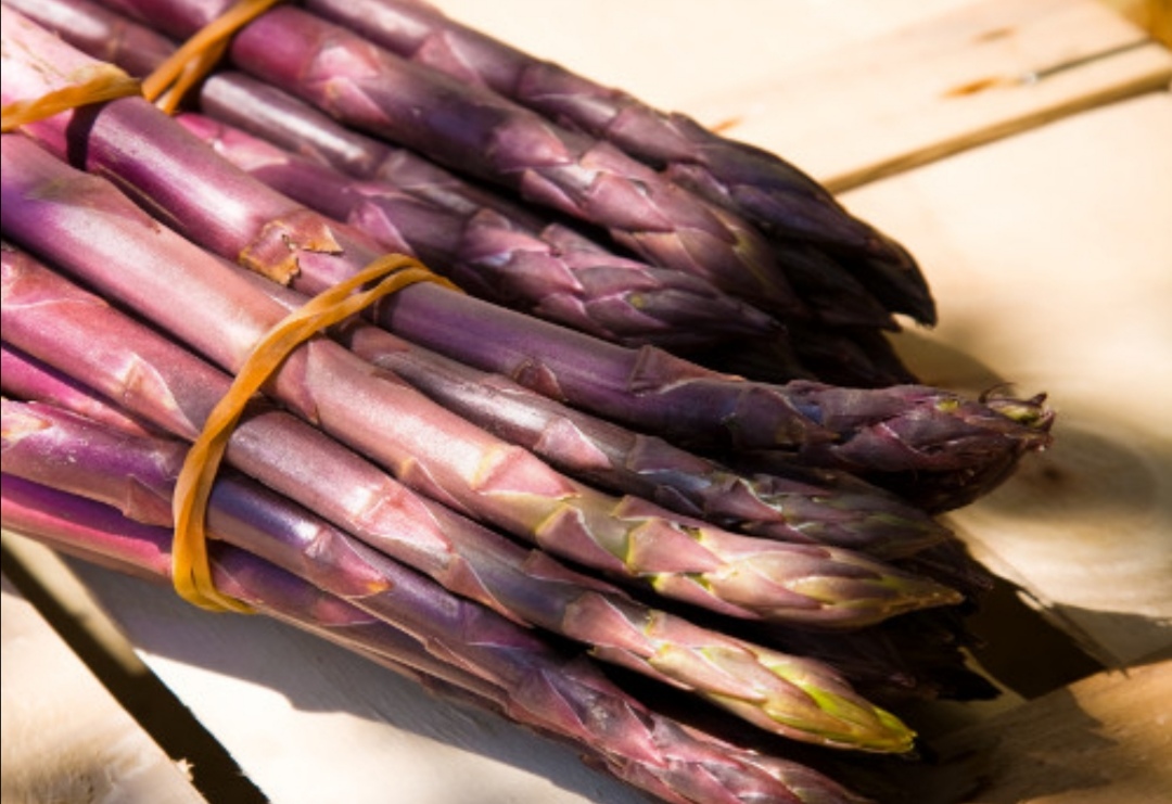 asparagi violetto di Albenga