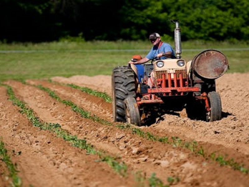 pexels-photo- prezzi agricoltura