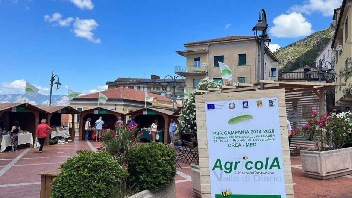 Agricola a Montesano Scalo