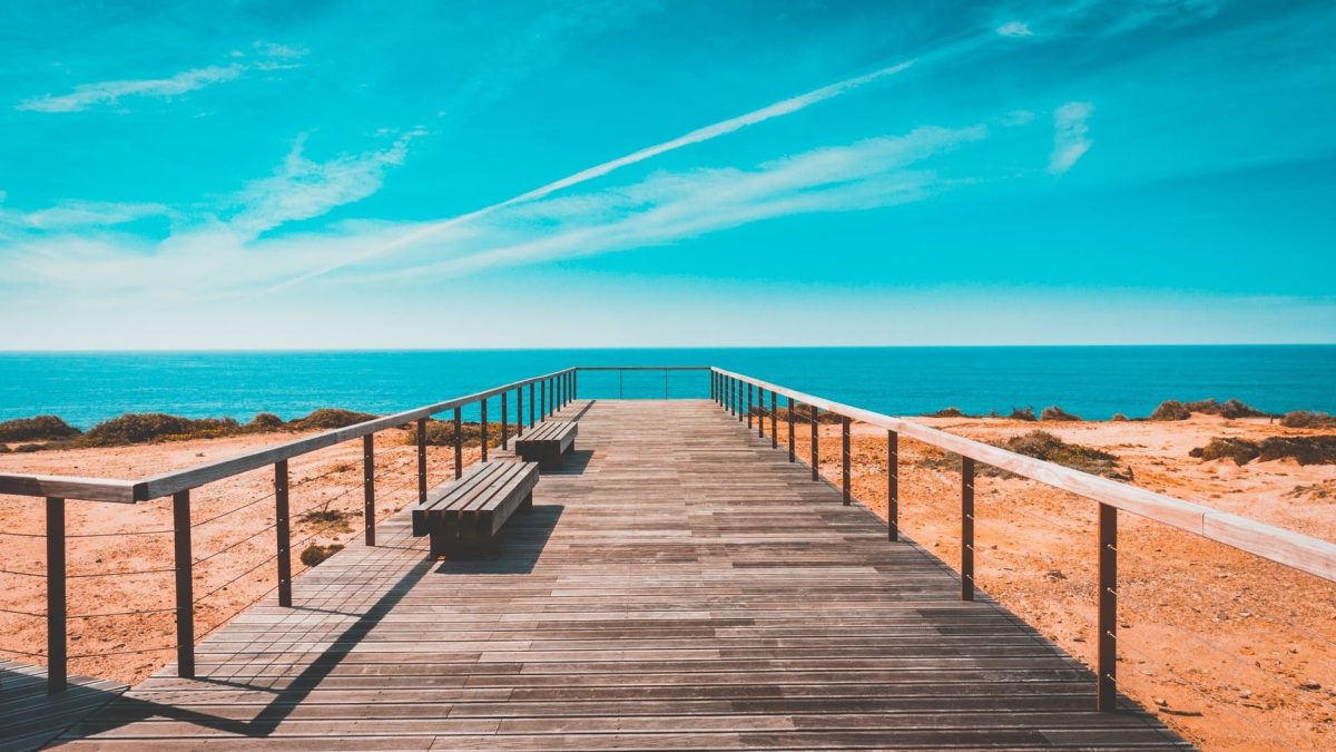 brown wooden dock