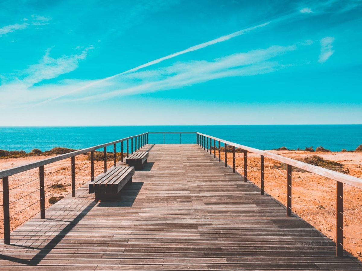 brown wooden dock