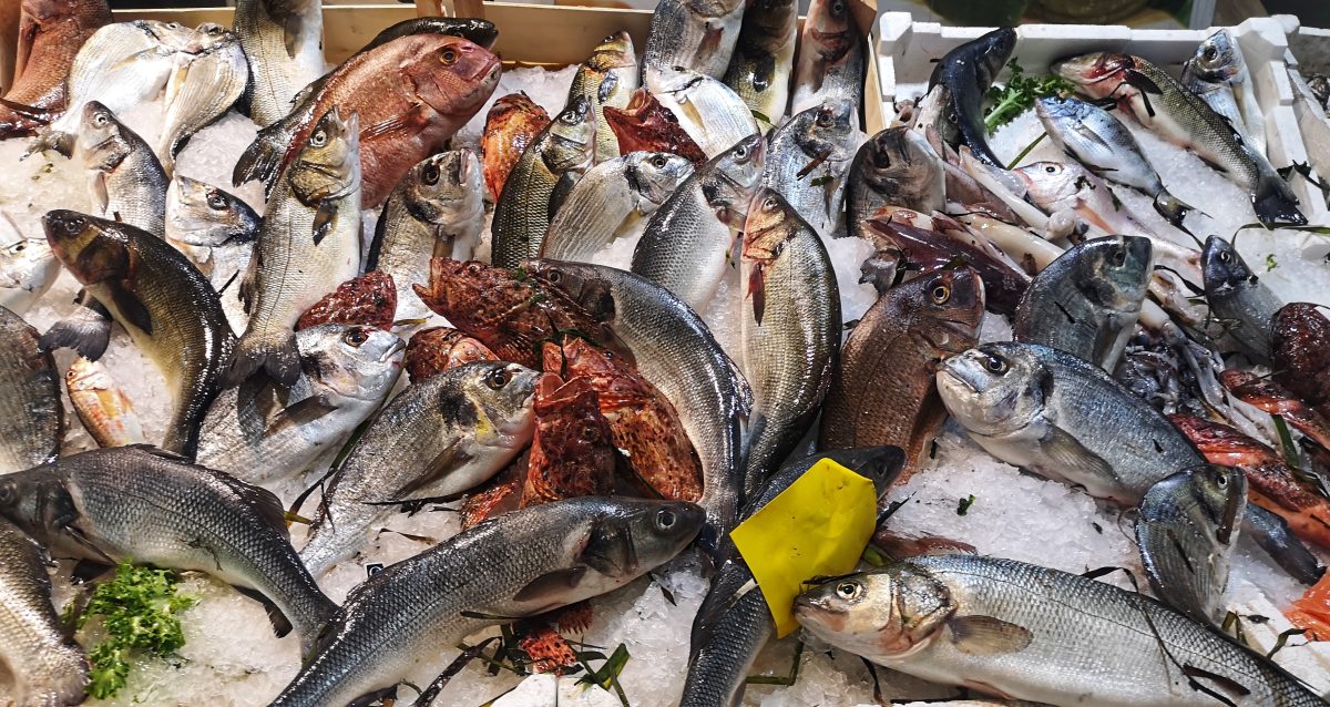 Pescato Mercato di San Benedetto
