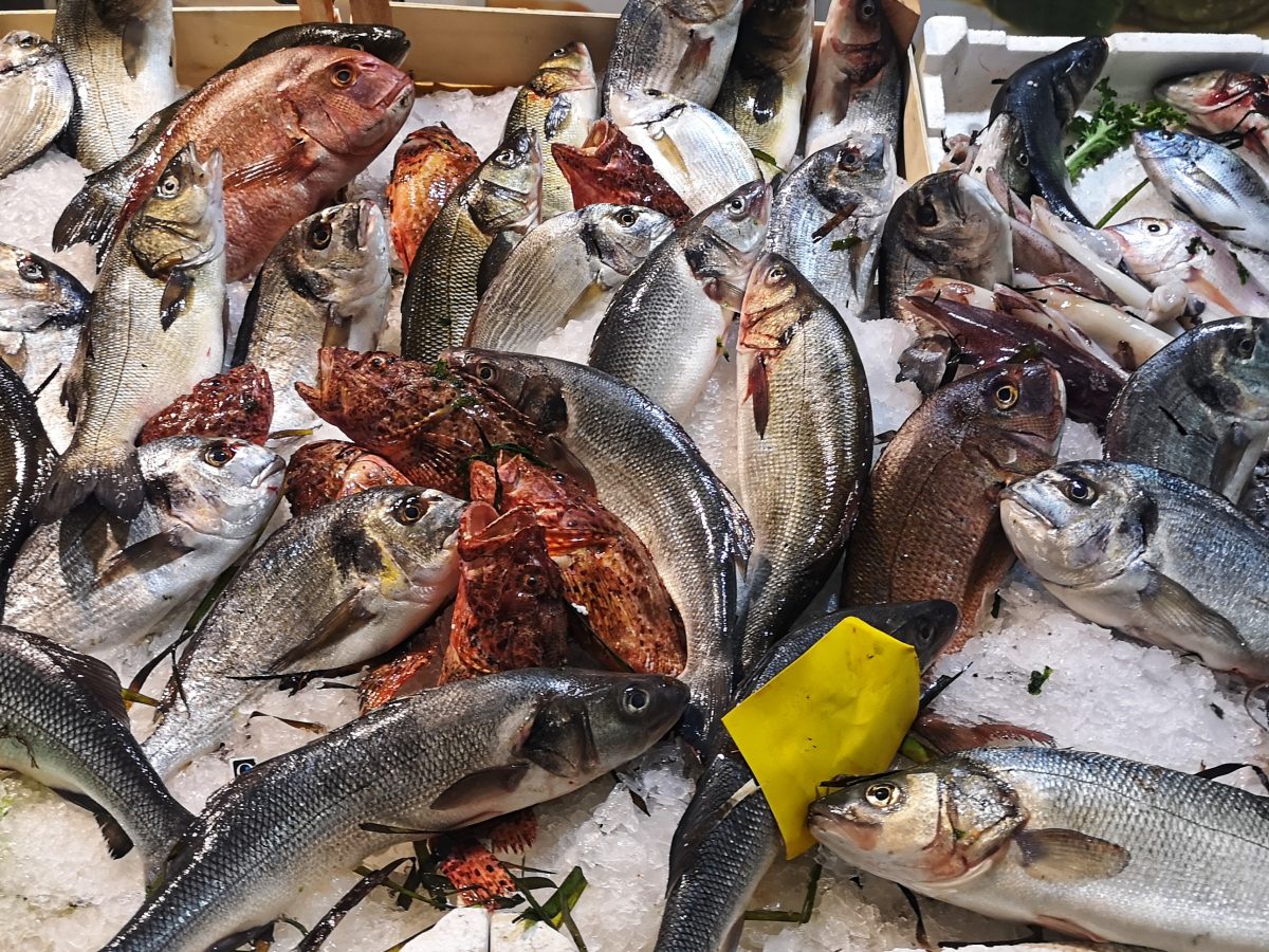Pescato Mercato di San Benedetto