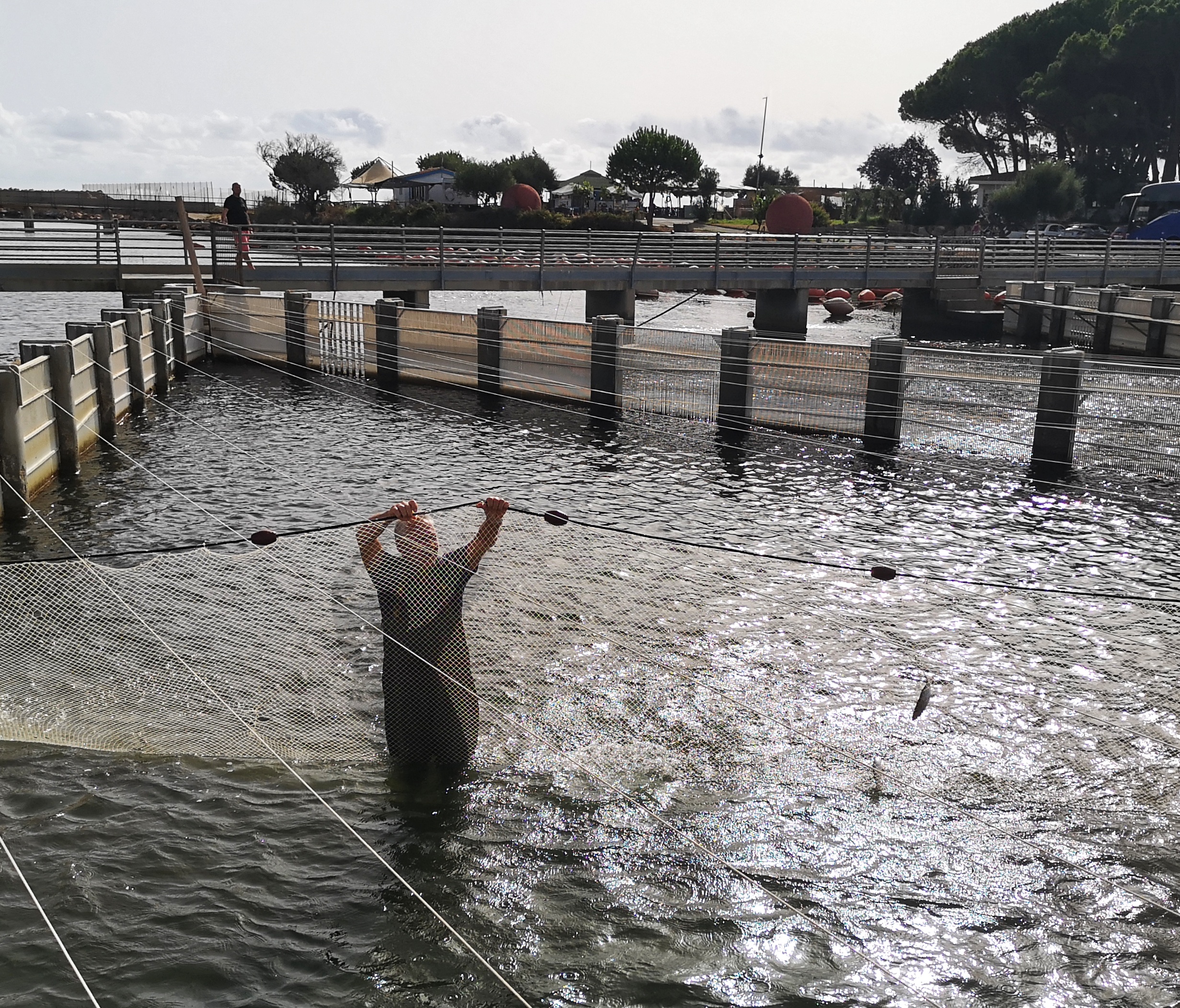 Pesca in laguna Cacciatori