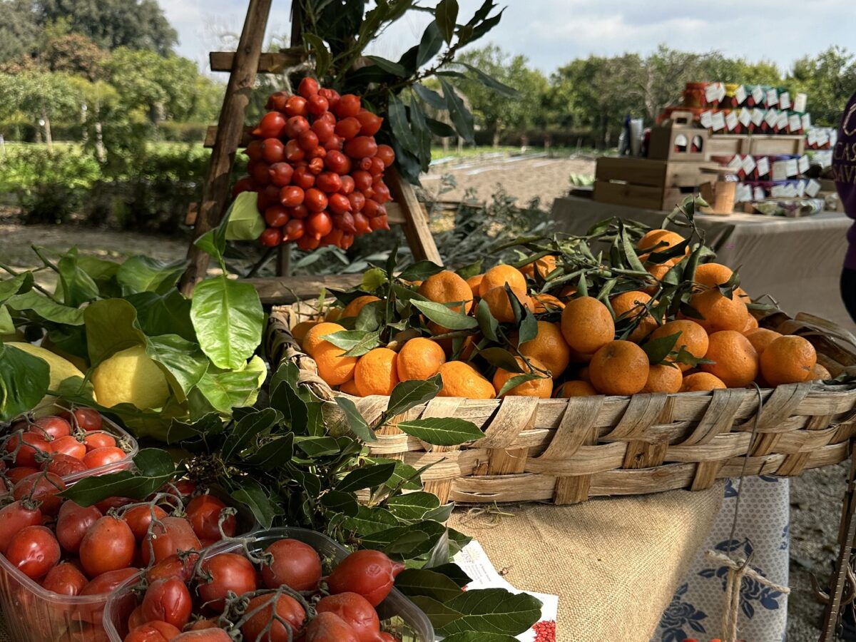 Il Mercato della Terra di Slow Food torna al Giardino Torre del Bosco di Capodimonte (sabato 18 maggio)